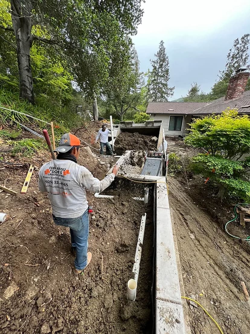 Award-Winning Excellence's image